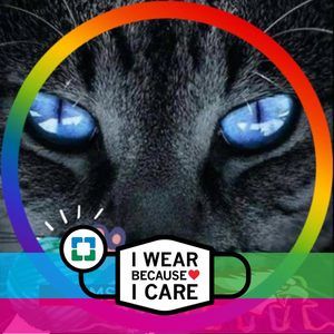 Meet your Posher, Beverly